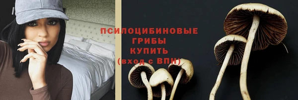 шишки Армянск