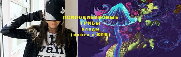 шишки Армянск