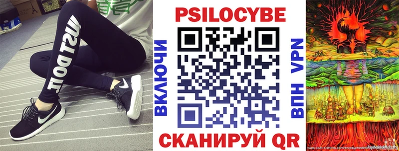 купить наркоту  Протвино  Псилоцибиновые грибы Psilocybine cubensis 